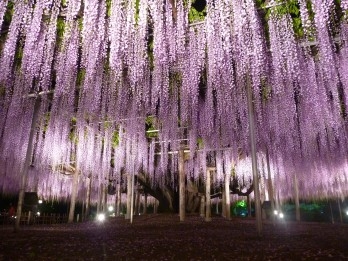 Tochigi, nơi thời gian ngưng đọng 