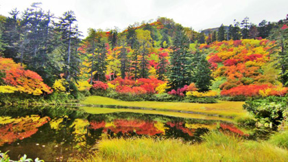 Sounkyo - Ngắm lá đỏ giữa những tầng mây