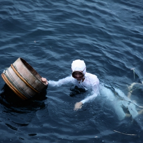 Những nữ thợ lặn Ama vật lộn để tồn tại với nghề