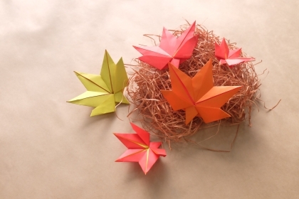 Cách xếp lá đỏ đơn giản theo phong cách Origami