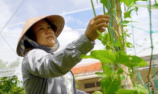 Người phụ nữ Nhật mê giúp nông dân Việt trồng rau sạch