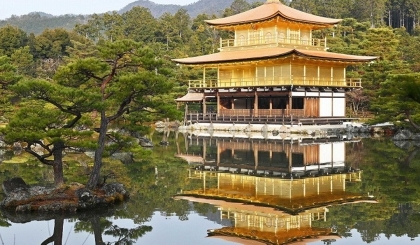 Chùa Kinkakuji hóa vàng rực sau trùng tu