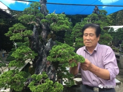 Masahiko Kimura - bậc thầy Bonsai Nhật Bản