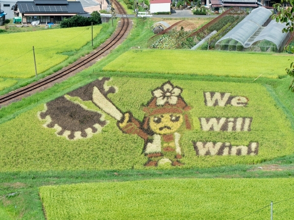 Tanbo Art: Nghệ thuật vẽ tranh trên đồng ruộng độc đáo của Nhật Bản