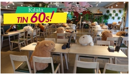Một nhà hàng dùng thú bông để giữ khoảng cách an toàn cho khách