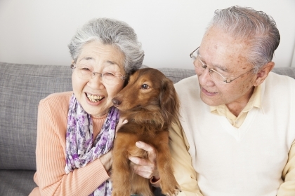 Tỉnh nào có tuổi thọ trung bình cao nhất ở Nhật Bản?