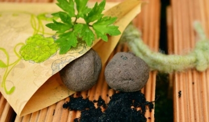 Seed ball có phải là phương pháp gieo trồng đến từ Nhật Bản?