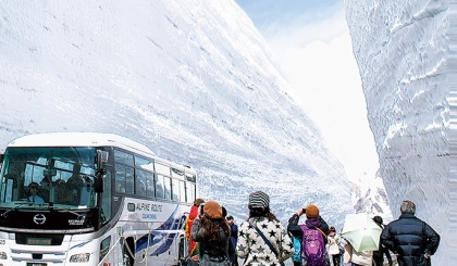 Vui chơi với tuyết giữa mùa hè