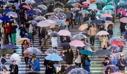 Tỉnh nào nhiều mưa nhất Nhật Bản?