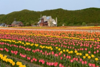 Mombetsu, những bất ngờ kì thú ở vùng biển Bắc 