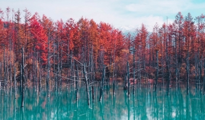 Top 5 điểm đến ở Hokkaido