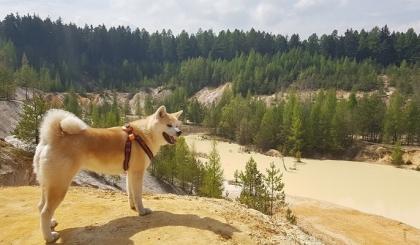 5 trải nghiệm đáng có khi du lịch ở tỉnh Akita