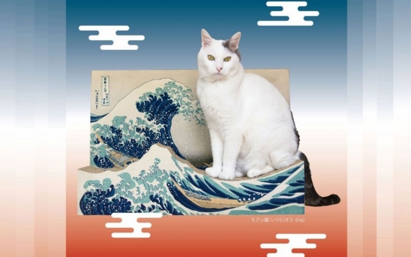 Nâng tầm bàn cào móng mèo với tranh Ukiyo-e