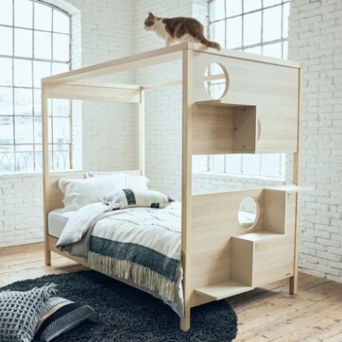 Nhật Bản ra mắt giường ngủ dành cho cả chủ nuôi và mèo
