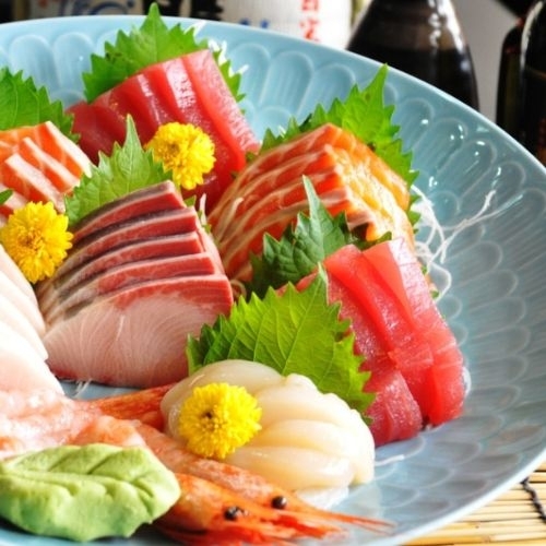 Các loại cá làm Sashimi: Đặc điểm, tên gọi 16 loại cá làm Sashimi Nhật Bản