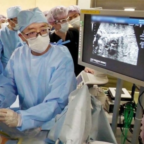 Nhật Bản thực hiện thành công ca phẫu thuật tim cho thai nhi