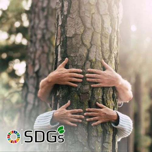 Kế hoạch giải cứu cây xanh ở trường học