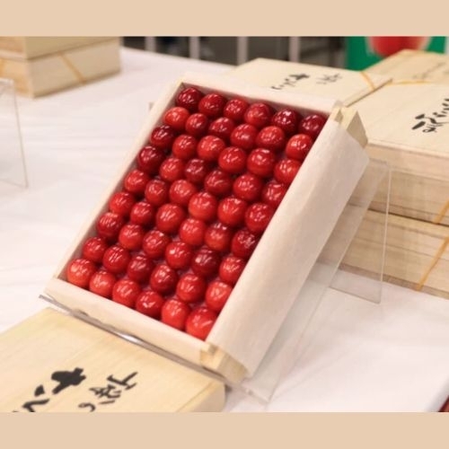Cherry của tỉnh Yamagata đạt mức kỷ lục tại phiên đấu giá đầu năm