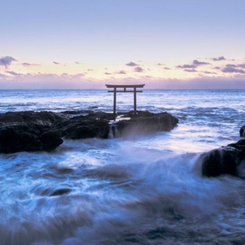 Chiêm ngưỡng 5 cổng Torii biểu tượng của nước Nhật