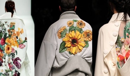  BST của Nguyễn Công Trí “gây sốt” tại Nhật