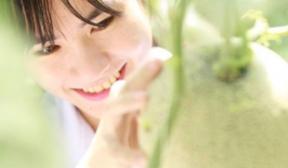 Lợi ích ngăn ngừa ung thư, chống lão hoá từ dưa lưới Nhật