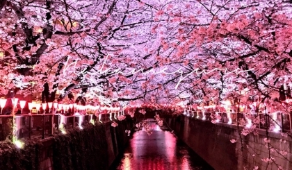 Nakameguro: khu phố sang trọng và nghệ thuật ở Tokyo