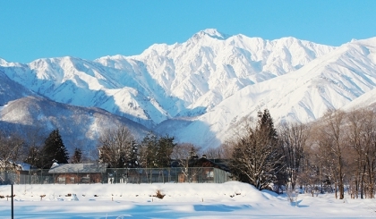 10 cách tận hưởng mùa đông ở miền Đông Nhật Bản