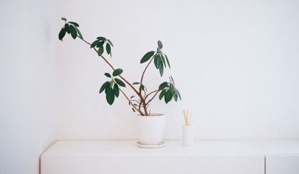 Những nguyên tắc khi trang trí phòng theo cách Nhật Bản