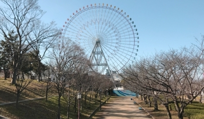 Thú vị ngọn núi 4,5m tại Nhật Bản