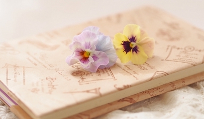 Bìa bọc sách – Nét tinh tế của nền văn hóa đọc