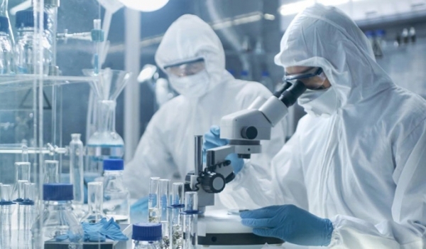 Số lượng người học tiến sĩ ở Nhật giảm