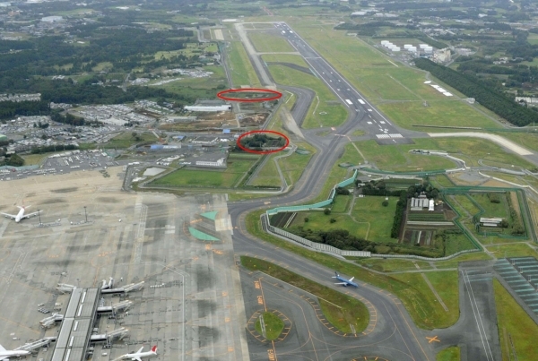 Cánh đồng rau đơn độc của lão nông ngay giữa sân bay Narita