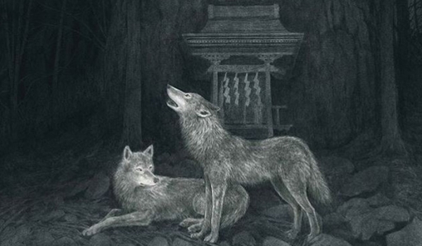 Vì sao chó sói Nhật tuyệt chủng?