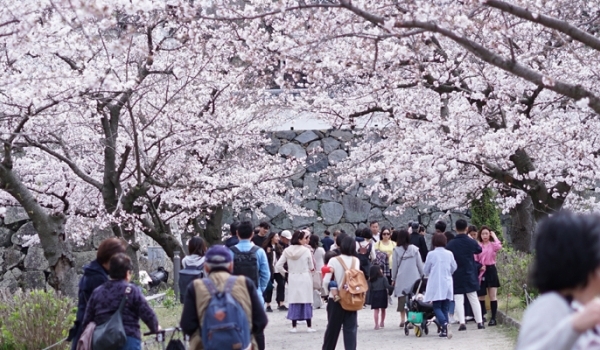 5 thủ tục cần làm khi mới đến Nhật Bản