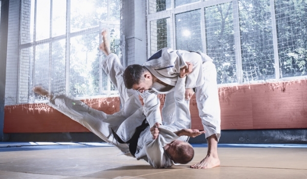 Các môn võ thuật chính của Nhật Bản