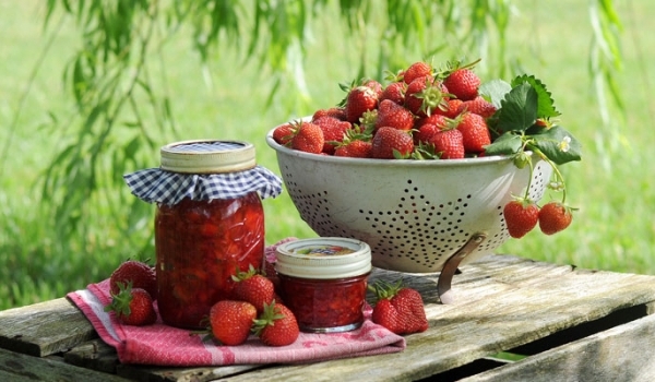 Dâu Nhật và vị ngon đầy mê hoặc