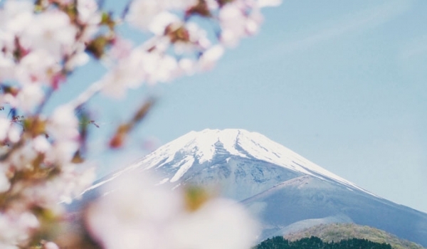 7 sự thật ít ai biết về Nhật Bản