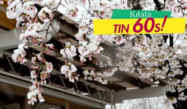 Hiện tượng tuyết rơi trái mùa xuất hiện ở Tokyo sau 32 năm