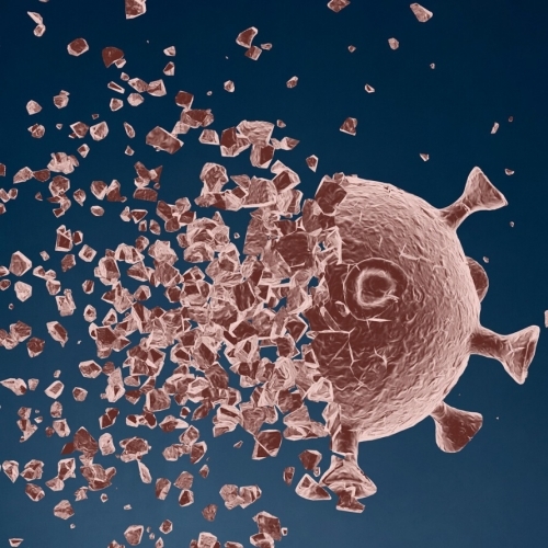 Các giả thuyết phía sau sự "biến mất" thần kỳ của COVID-19 ở Nhật