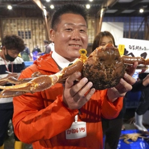 Một con cua tuyết Nhật Bản được đấu giá 160 triệu đồng 