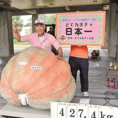 Giải vô địch bí ngô khổng lồ của Nhật Bản