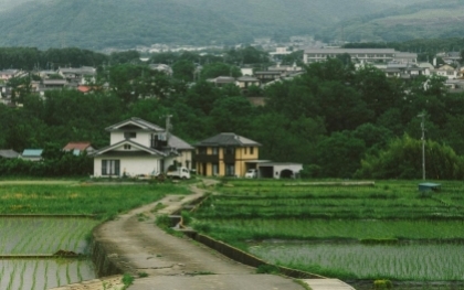 Nông thôn Nhật Bản "nên thơ" qua ảnh chụp của Daisuke Saito