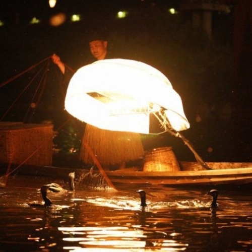 Nghệ thuật bắt cá bằng chim cốc trên sông ở Hiroshima