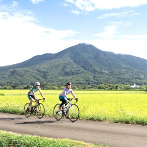 Hành trình khám phá Tsukuba bằng xe đạp