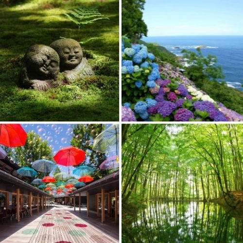 Những địa điểm nhất định phải đến vào mùa mưa Nhật Bản