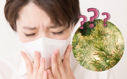 Dị ứng phấn hoa ở Nhật và những điều bạn cần biết