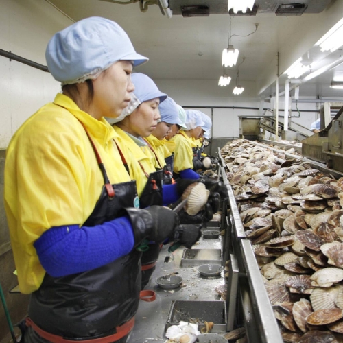 Hàng nghìn công ty Nhật vi phạm trong tuyển dụng thực tập sinh nước ngoài