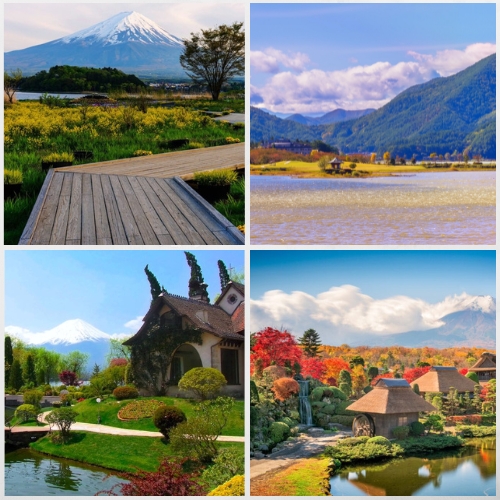 Ngắm núi Phú Sĩ từ những công viên tuyệt đẹp ở Yamanashi