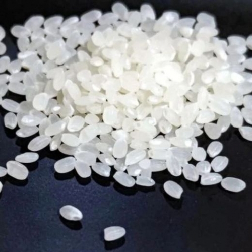 Nhật nghiên cứu gạo biến đổi gen làm vaccine ngừa bệnh tả