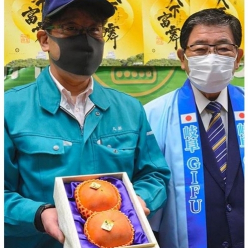 Hai quả hồng từ tỉnh Gifu trị giá 184 triệu đồng